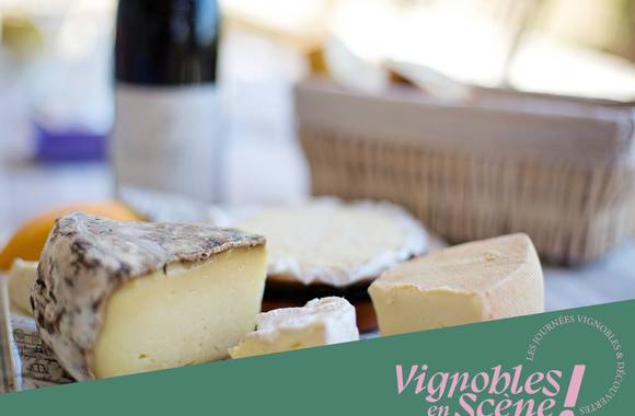 Dégustation Vin & Fromage - Terres de Syrah