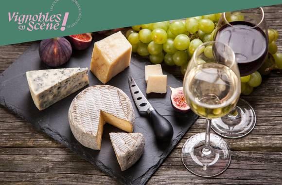 Dégustation Vin & Fromage - Terres de Syrah