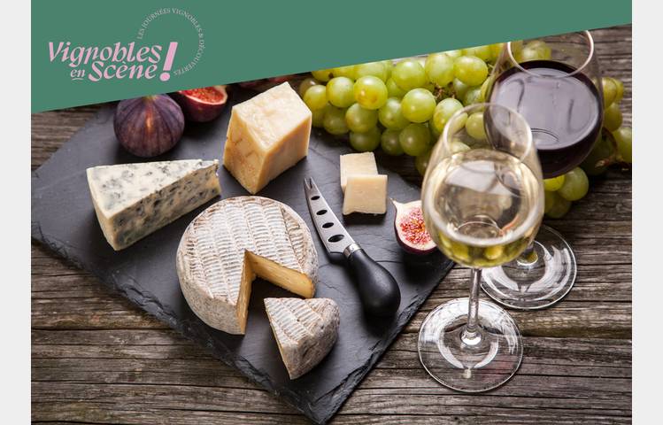 image de Dégustation Vin & Fromage - Terres de Syrah