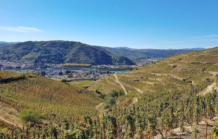 Photo of Détours en vigne : Hermitage