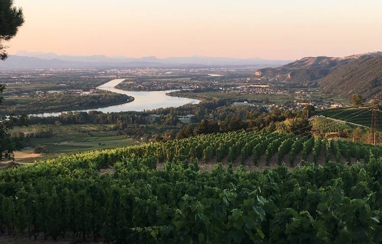 Photo of Détours en vignes : Saint Joseph