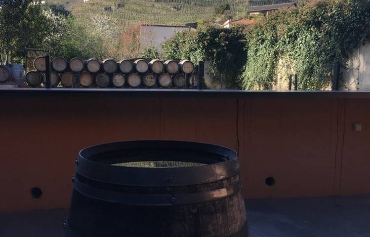 Photo of Bar à vin du Bistrot de Serine
