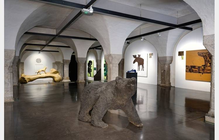 image de Centre d'Art Contemporain La Halle des Bouchers