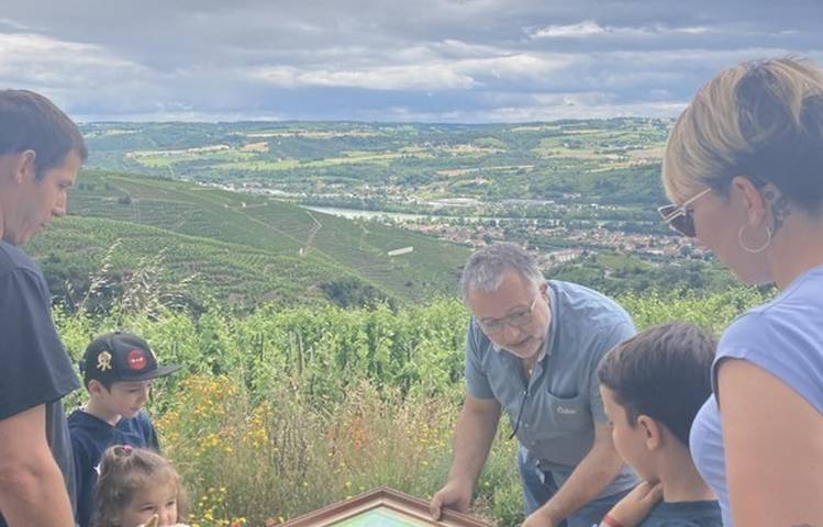 Photo of Visite des vignes en duo parents-enfants
