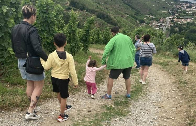 Photo of Visite des vignes en duo parents-enfants