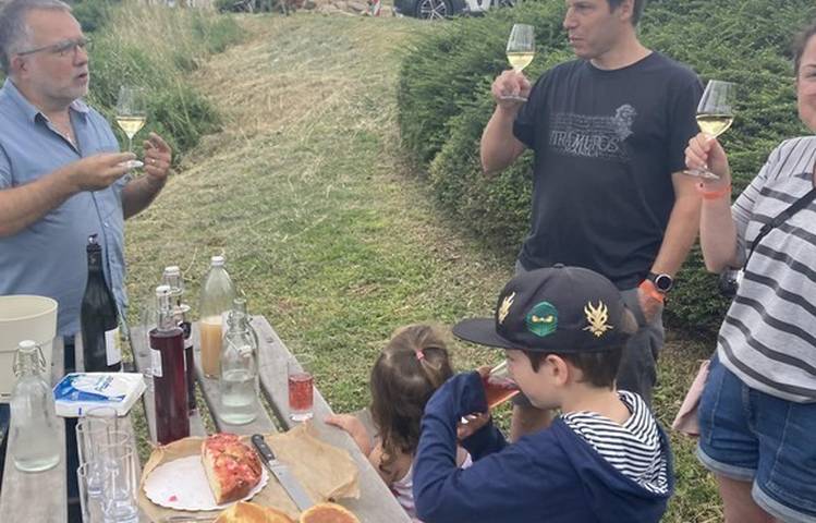 Photo of Visite des vignes en duo parents-enfants