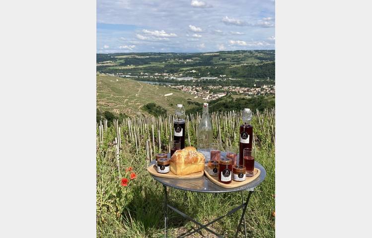 image de Visite des vignes en duo parents-enfants