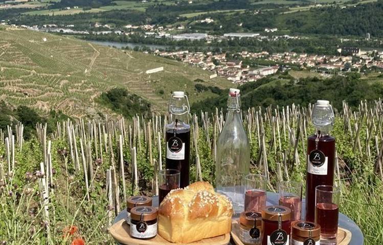 Photo of Visite des vignes en duo parents-enfants