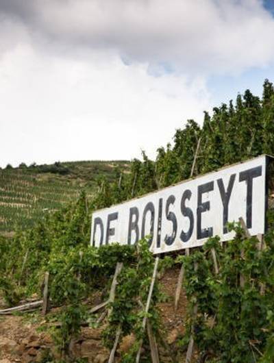 img-wine-notes-au-domaine-de-boisseyt