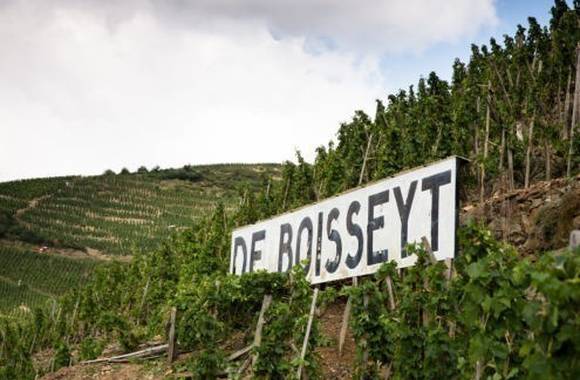 Wine Notes at Domaine De Boisseyt