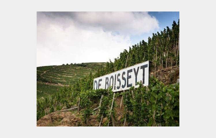 image de Wine Notes at Domaine De Boisseyt