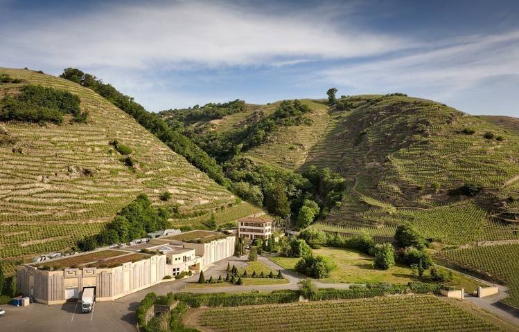 Photo of Maison Vidal-Fleury