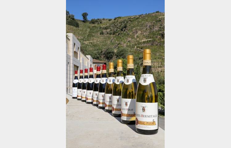 image de Maison Vidal-Fleury