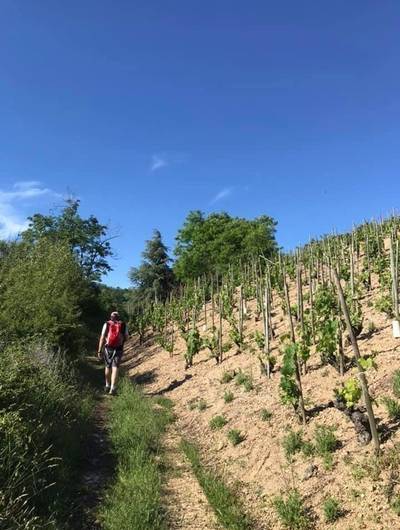img-rando-wine-a-la-cave-de-sarras