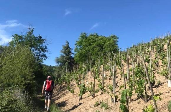 Rando Wine à la Cave de Sarras