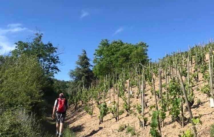 Photo of Rando Wine (Cave de Sarras)