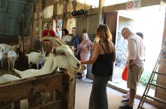 Excursion vins et fromages avec Rhône Trip
