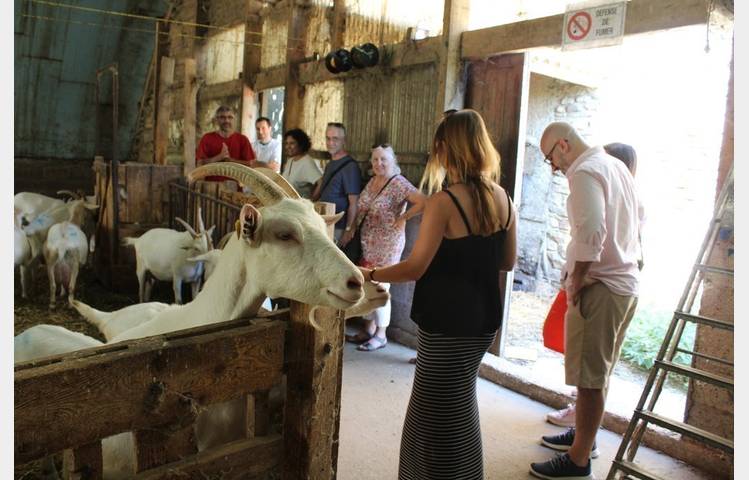 image de Cheese and wine tour in the nothern part of cote du rhone