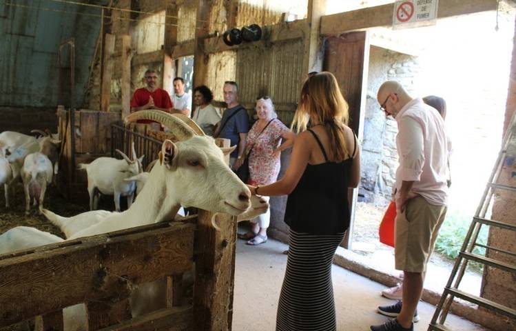 Photo of Excursion vins et fromages avec Rhône Trip
