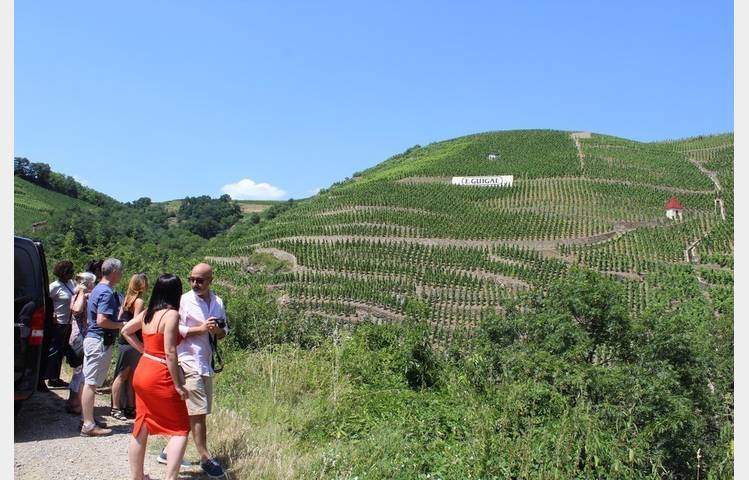 image de Cheese and wine tour in the nothern part of cote du rhone