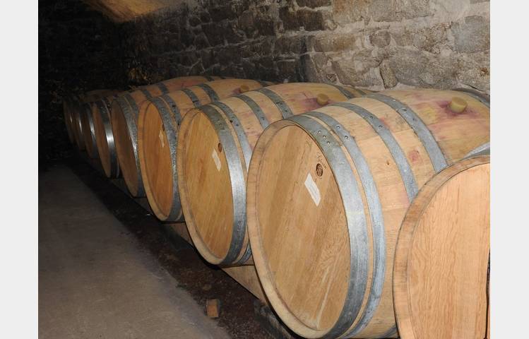 image de Cheese and wine tour in the nothern part of cote du rhone