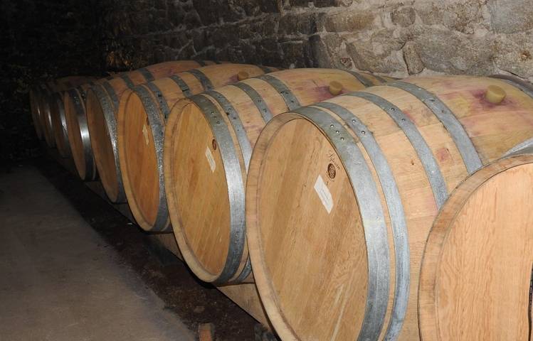 Photo of Excursion vins et fromages avec Rhône Trip