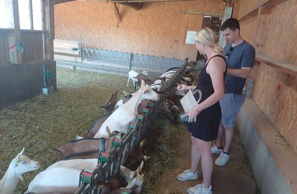 Cheese and wine tour in the nothern part of cote du rhone