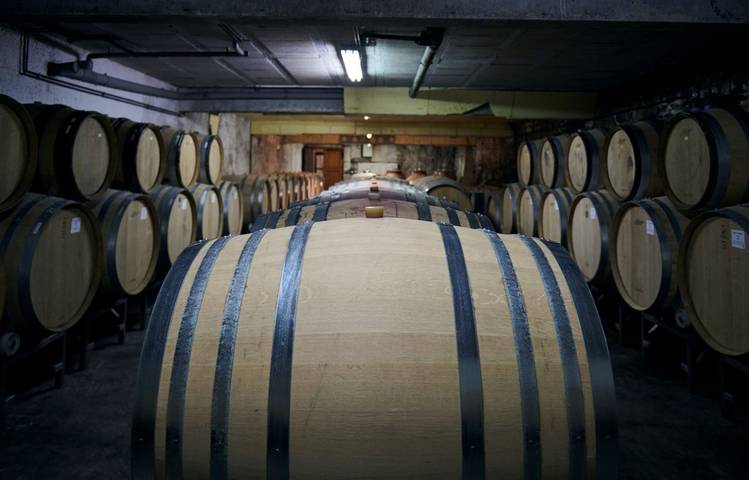 Photo of Domaine Verzier