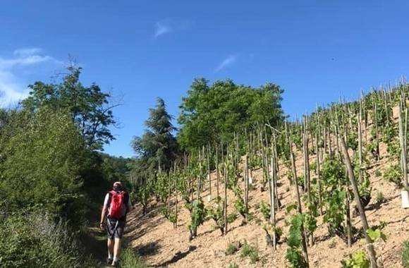 Rando Wine au Domaine Lilian Bertrand