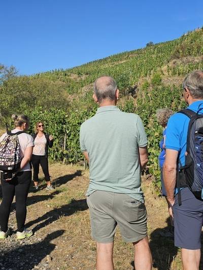 img-rando-wine-au-domaine-francois-grenier