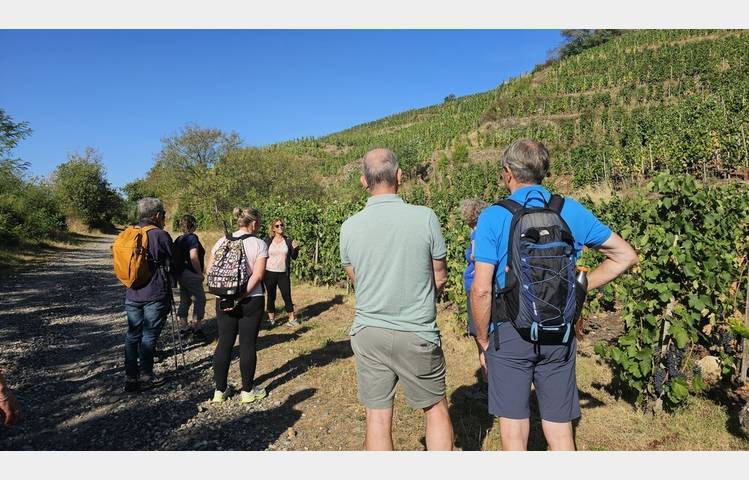 image de Rando Wine au Domaine François Grenier