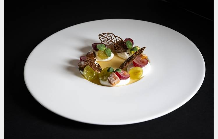 image de Les Nymphéas