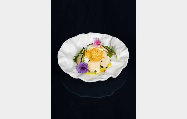 image de Les Nymphéas