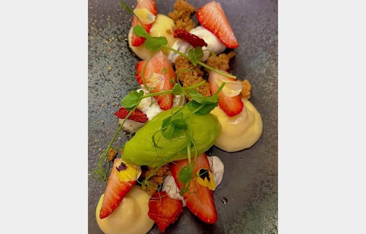 image de Les Nymphéas