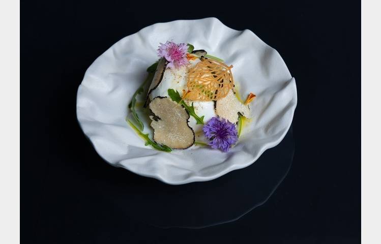 image de Les Nymphéas