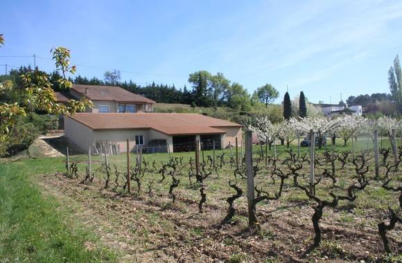 img-vineyard-aperitif-at-domaine-des-4-vents