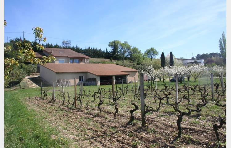 image de Vineyard aperitif at Domaine des 4 Vents