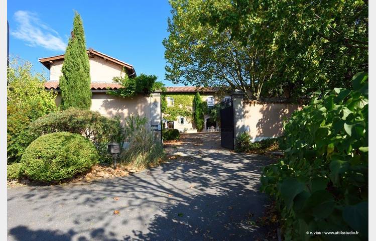 image de Daumus Auréa