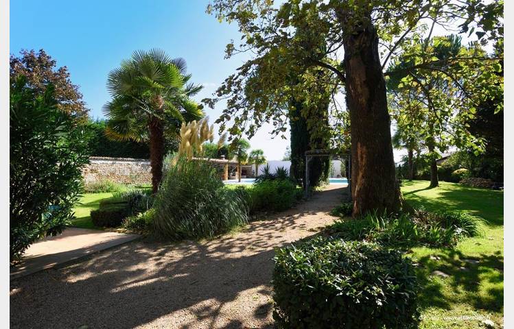 image de Daumus Auréa