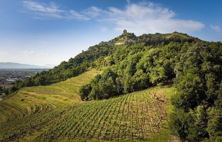 Photo of Domaine Rémy Nodin - La Beylesse