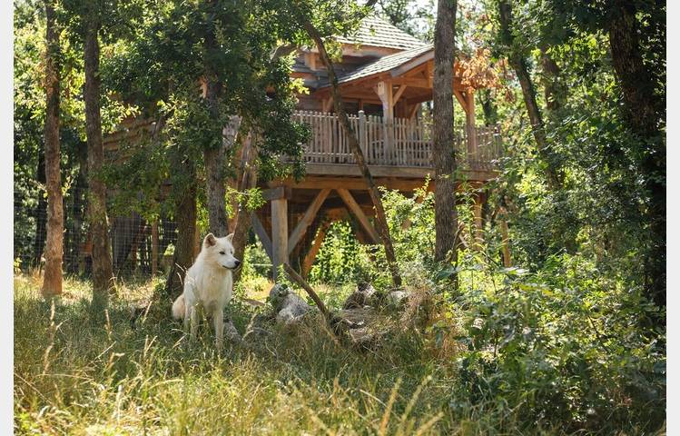 image de Les Cabanes Perchées du Safari de Peaugres