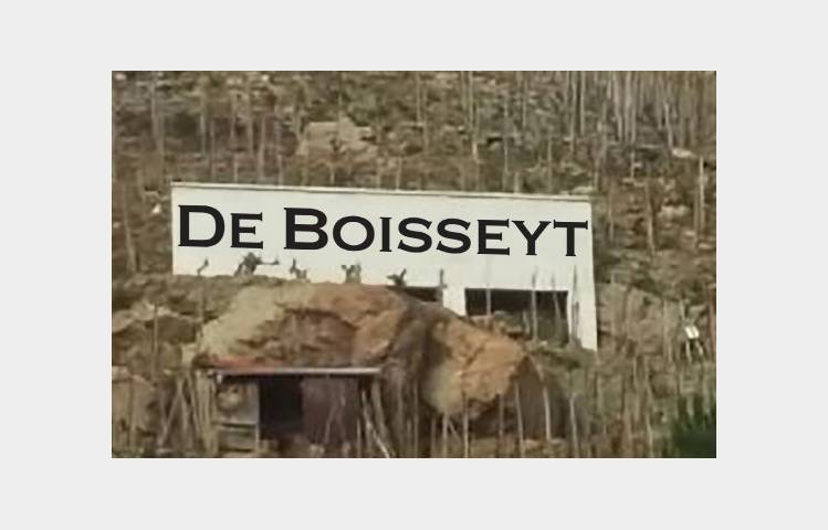 image de Vineyard of Boisseyt