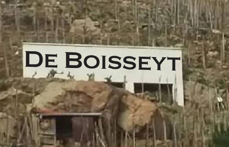 Photo of Vineyard of Boisseyt