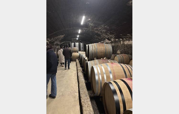 image de Vineyard aperitif at Domaine Luyton Fleury