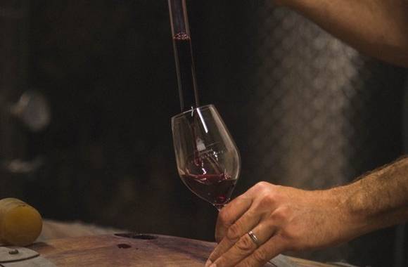 img-vineyard-aperitif-at-domaine-luyton-fleury