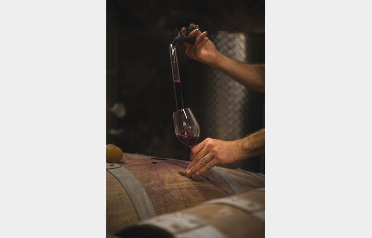 image de Vineyard aperitif at Domaine Luyton Fleury