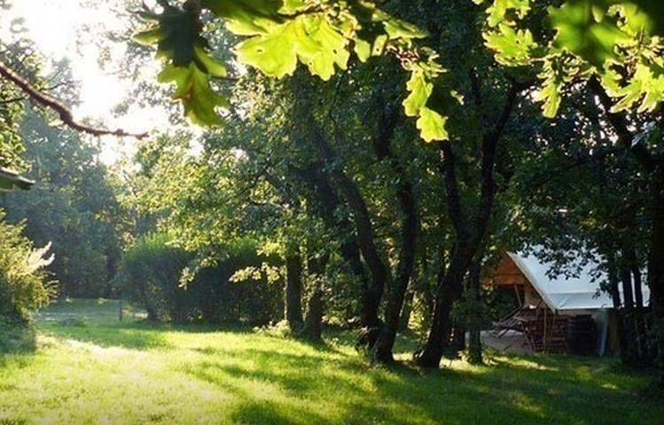 Photo of Camping Bel'Epoque du Pilat
