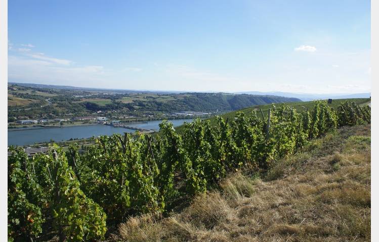 image de Maison Clusel-Roch