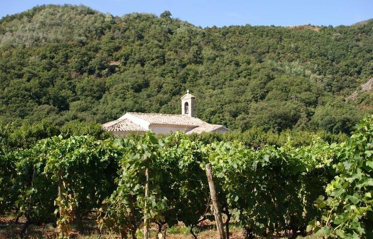 Photo of Saint Bosc
