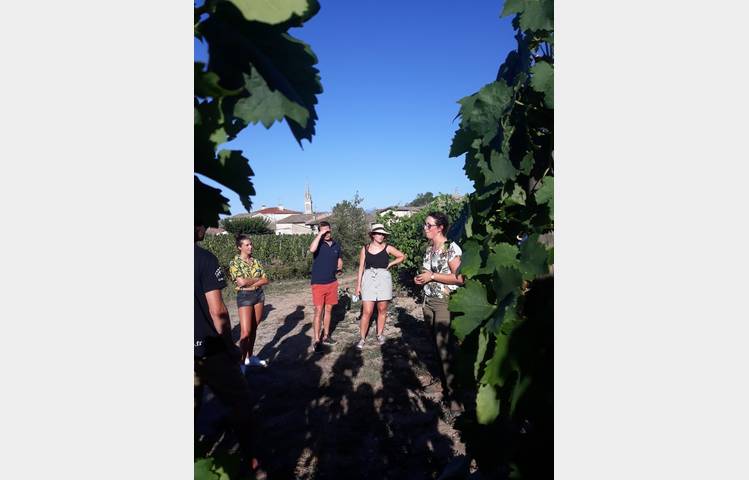 image de Domaine Verset A et E
